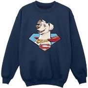 Sweat-shirt enfant Dc Comics DC League Of Super-Pets Krypto Icon