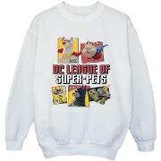 Sweat-shirt enfant Dc Comics DC League Of Super-Pets Profile