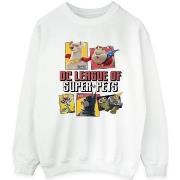 Sweat-shirt Dc Comics DC League Of Super-Pets Profile