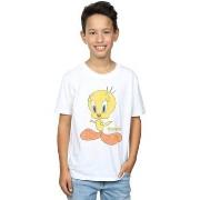 T-shirt enfant Dessins Animés BI23742