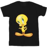 T-shirt enfant Dessins Animés Tweety Standing