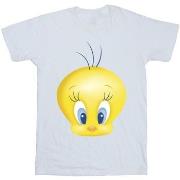 T-shirt enfant Dessins Animés BI24322