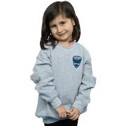 Sweat-shirt enfant Dc Comics Starling Metro