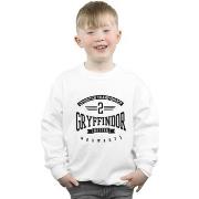 Sweat-shirt enfant Harry Potter BI19288