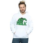 Sweat-shirt Marvel Hulk Pixelated