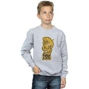 Sweat-shirt enfant Scooby Doo And Shaggy