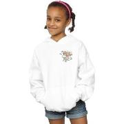 Sweat-shirt enfant Dessins Animés BI13654