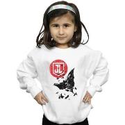 Sweat-shirt enfant Dc Comics Justice League