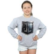 Sweat-shirt enfant Dc Comics Justice League