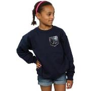 Sweat-shirt enfant Dc Comics Justice League