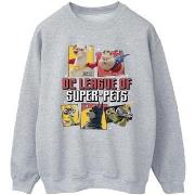 Sweat-shirt Dc Comics DC League Of Super-Pets