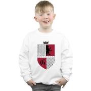 Sweat-shirt enfant Harry Potter BI19689