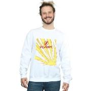 Sweat-shirt Dc Comics BI23392