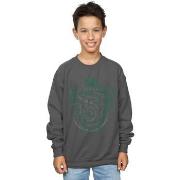 Sweat-shirt enfant Harry Potter Slytherin Serpent Crest