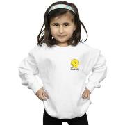 Sweat-shirt enfant Dessins Animés BI23270