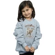 Sweat-shirt enfant Dessins Animés BI23496