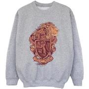 Sweat-shirt enfant Harry Potter BI20489