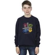 Sweat-shirt enfant Harry Potter Emblems H Spray