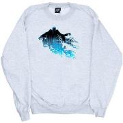 Sweat-shirt Harry Potter BI20420