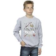 Sweat-shirt enfant Harry Potter Seeker In Training