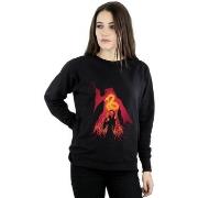 Sweat-shirt Harry Potter BI20444