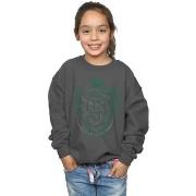 Sweat-shirt enfant Harry Potter BI20560