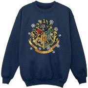 Sweat-shirt enfant Harry Potter BI20976