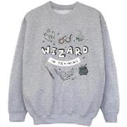 Sweat-shirt enfant Harry Potter BI21020