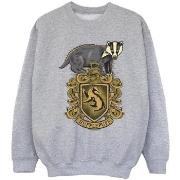 Sweat-shirt enfant Harry Potter BI21089