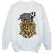 Sweat-shirt enfant Harry Potter BI21089