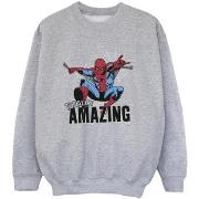 Sweat-shirt enfant Marvel Spider-Man Amazing