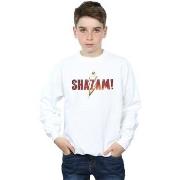 Sweat-shirt enfant Dc Comics BI32802