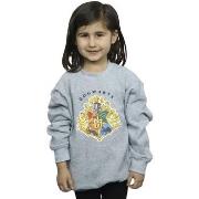Sweat-shirt enfant Harry Potter BI21149