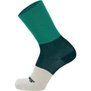 Chaussettes de sports Santini BENGAL - HIGH PROFILE SOCKS