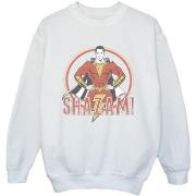 Sweat-shirt enfant Dc Comics BI32855