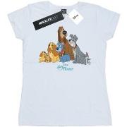 T-shirt Disney Lady And The Tramp