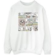 Sweat-shirt Disney Chip 'n Dale