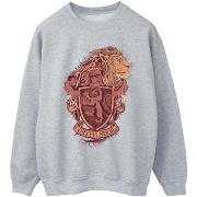 Sweat-shirt Harry Potter Gryffindor Sketch Crest