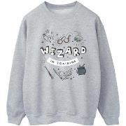 Sweat-shirt Harry Potter BI21451