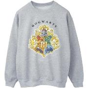 Sweat-shirt Harry Potter BI21599
