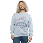 Sweat-shirt Harry Potter Quidditch At Hogwarts