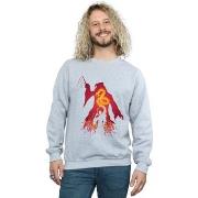 Sweat-shirt Harry Potter BI27669