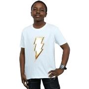 T-shirt enfant Dc Comics BI33592