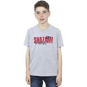 T-shirt enfant Dc Comics Shazam Fury Of The Gods Pride Distress