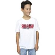 T-shirt enfant Dc Comics BI33690