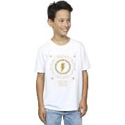 T-shirt enfant Dc Comics Shazam Fury Of The Gods Golden Spiral Chest