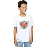 T-shirt enfant Dc Comics Superman Wings Shield