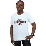 T-shirt enfant Dc Comics BI33844