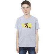 T-shirt enfant Dc Comics BI39152