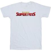 T-shirt enfant Dc Comics BI16958